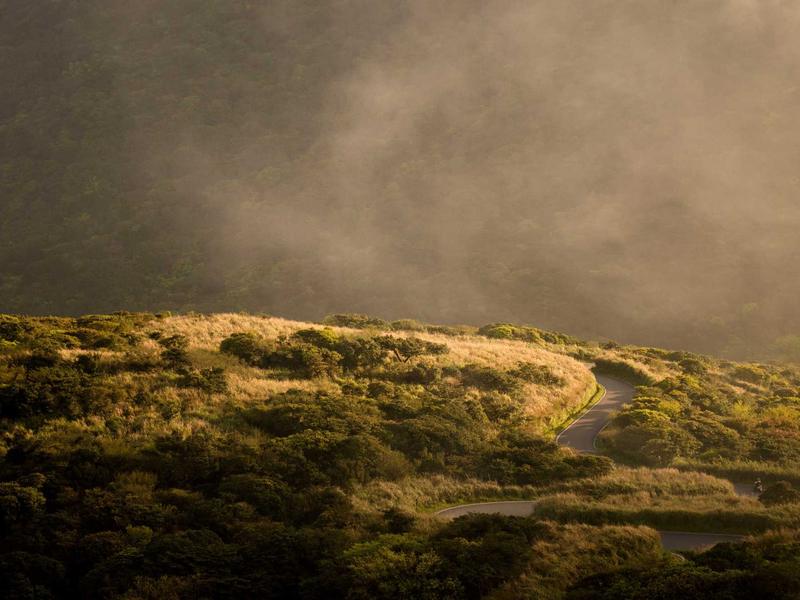 sudoku bifurcation screenshot 4