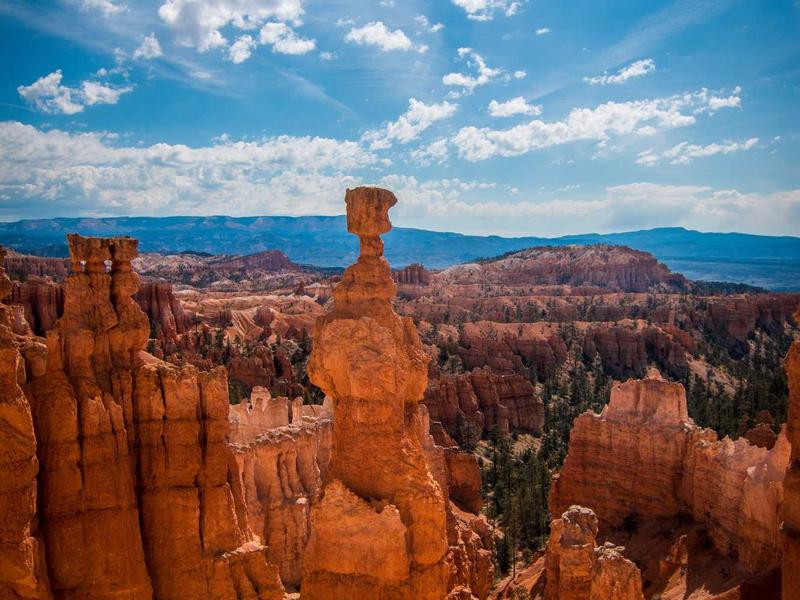 sudoku bifurcation screenshot 3